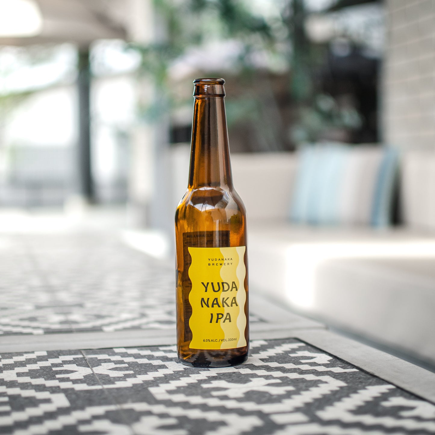 YUDANAKA IPA(湯田中IPA)3本/6本セット